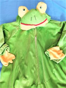 Kids Costumes to Hire - Frog Onesie